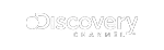 Official logo of Discovery: The word 'Discovery' is written in lowercase letters, with the letter 'D' written in orange color and the rest of the letters in black color. The 'y' in 'Discovery' has a small orange sphere with a white icon of a globe on top of it, placed toward the right of the letters